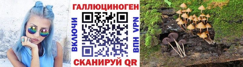 мега как войти  Гусиноозёрск  Галлюциногенные грибы ЛСД  закладка 